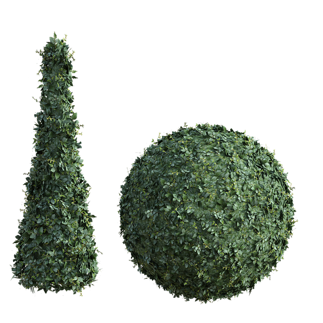 Free topiary bush nature illustration