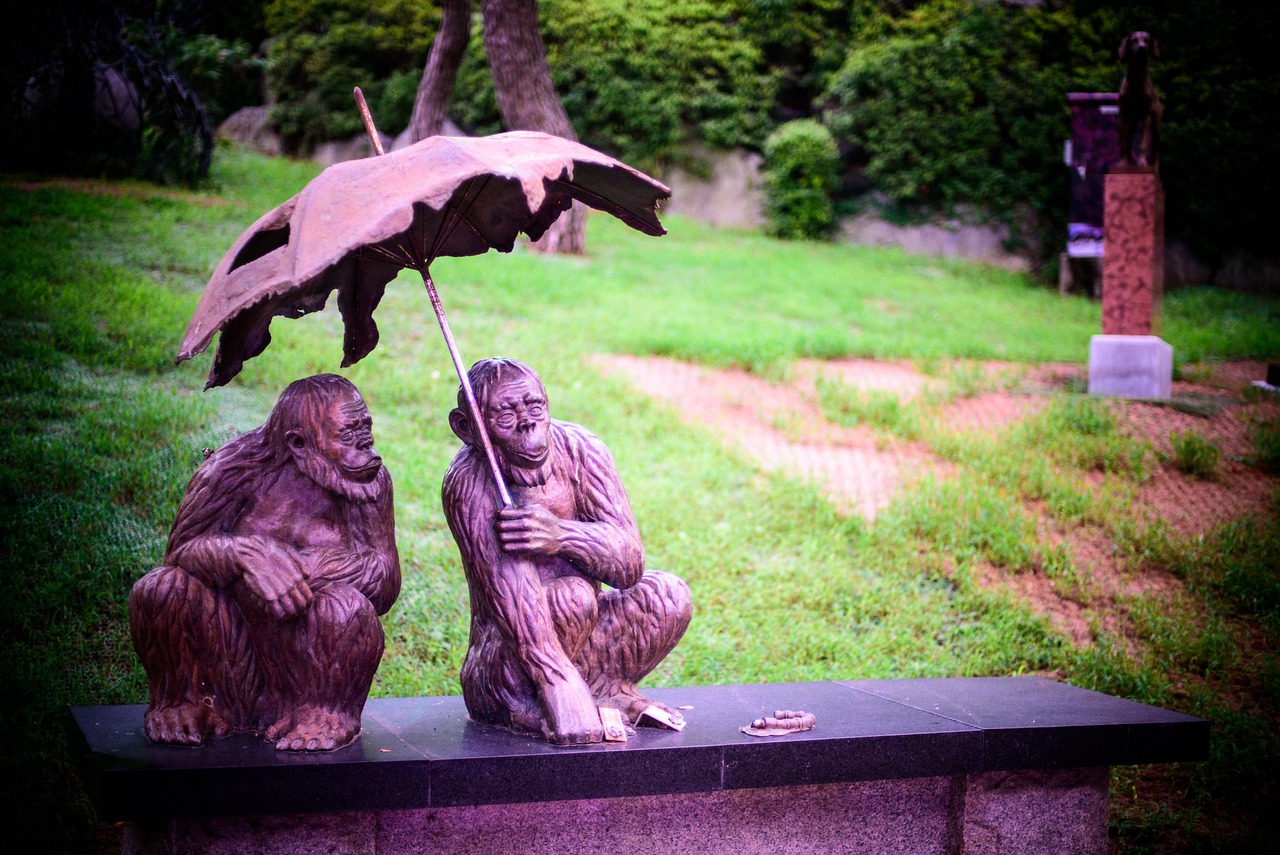 Free Monkey Together photo and picture