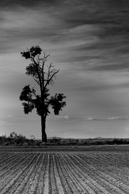 Free Landscape Nature photo and picture