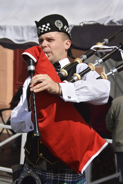 Free Musician Instrument photo and picture