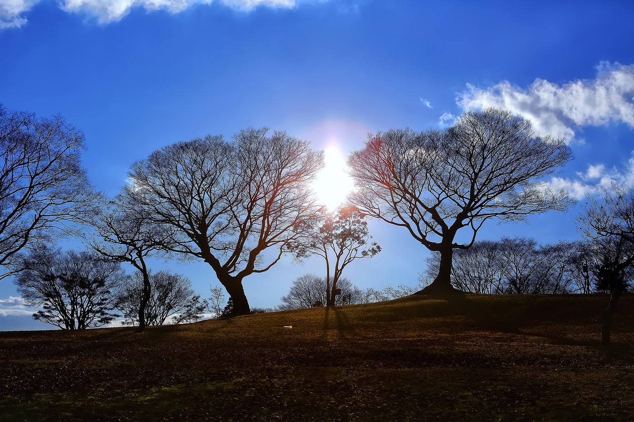 하늘 해 태양 - Pixabay의 무료 사진 - Pixabay