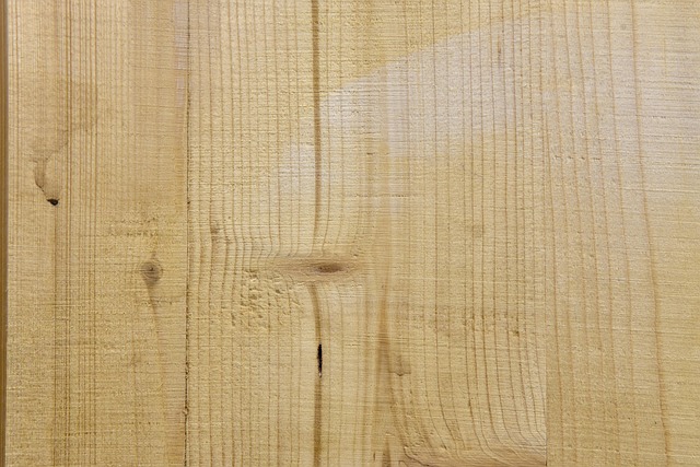 Free Tree Texture photo and picture