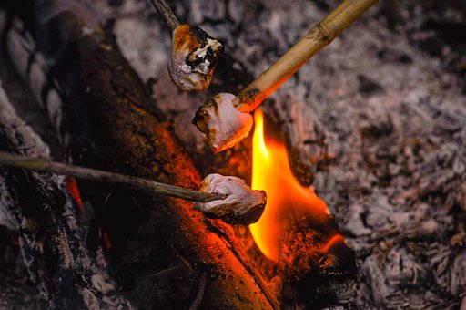 Free Marshmallows Burning photo and picture