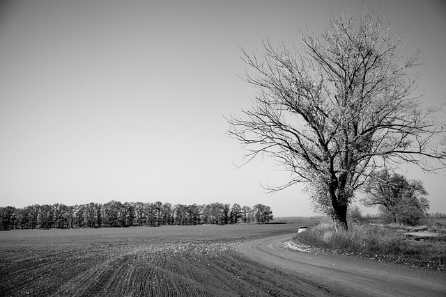 Free Nature Field photo and picture