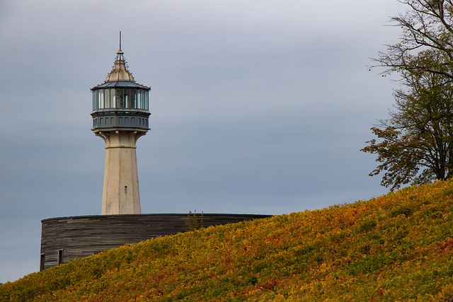 Free Automne Orange photo and picture