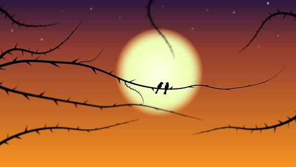 Zonsondergang, Boom, Landschap, Lucht