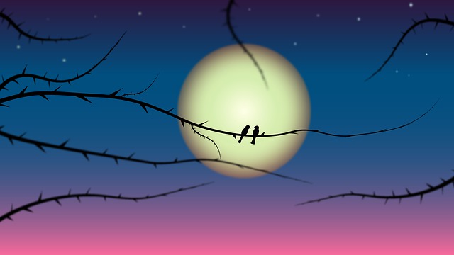 Free tree nature branch illustration