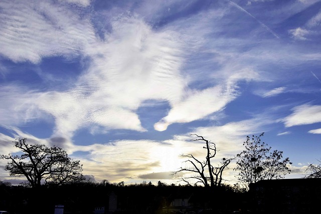 Free Sky Light photo and picture