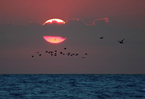 Solopgang, Ocean, Stor, Vand, Sol, Natur
