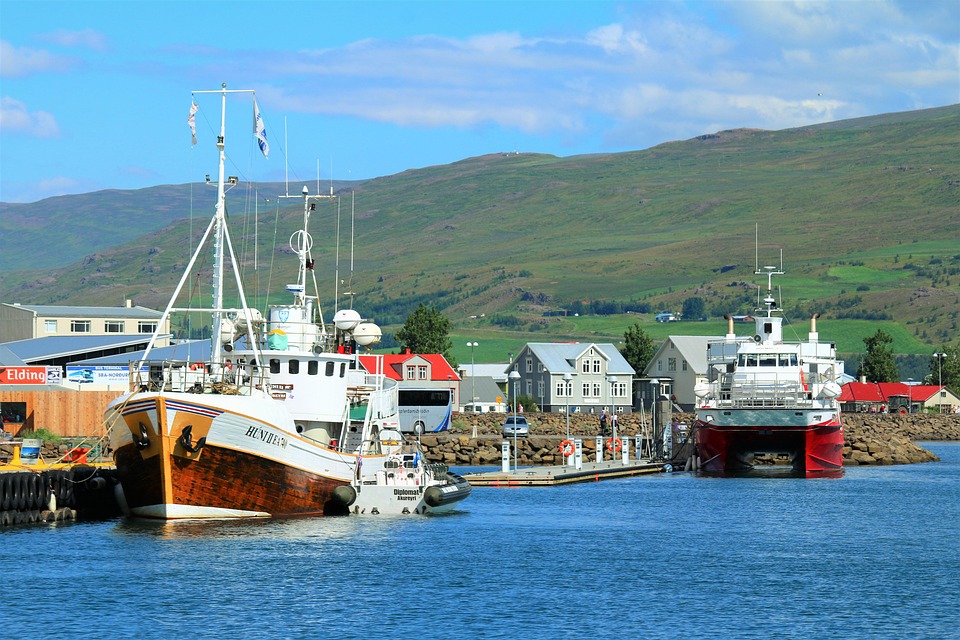 Hooked on Change: Adapting Your Fishing Techniques for Seasonal Success