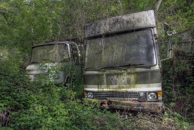 Mașină De Camping, Camping, Deoarece