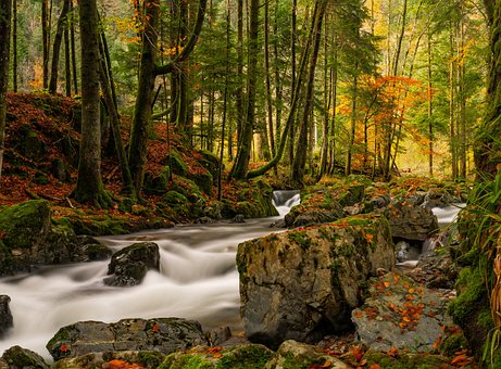 Free Stream Cascade photo and picture