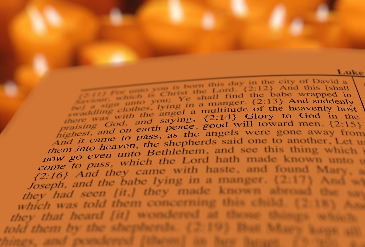 900+ Free Luke 12 13-21 & Iphone 12 Images - Pixabay