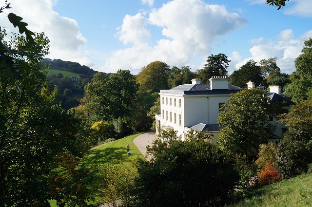 Free House Mansion photo and picture