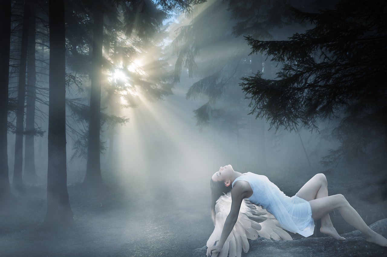 https://cdn.pixabay.com/photo/2019/11/12/15/22/fantasy-4621267_1280.jpg