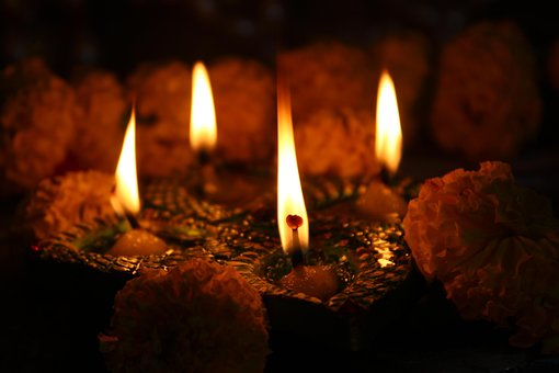 Free Diyas ดอกไม้ photo and picture