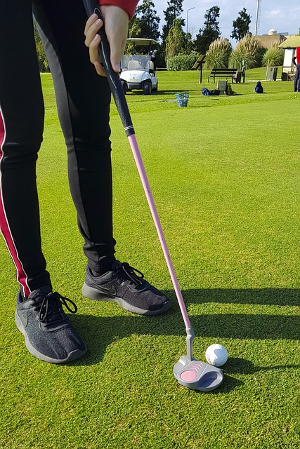 Free Golf Put photo and picture
