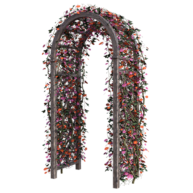 Free arch flowers bloom illustration