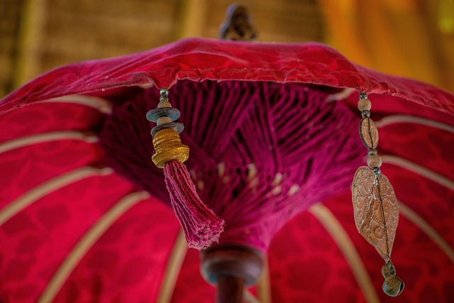 Free Culture Umbrella photo and picture
