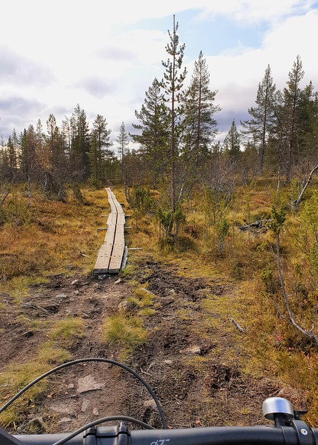 Free Boardwalks Mountain Bike photo and picture