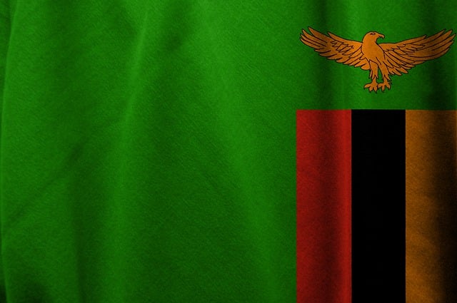 Free zambia flag symbol illustration