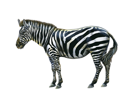 Free Animal Nature illustration and picture