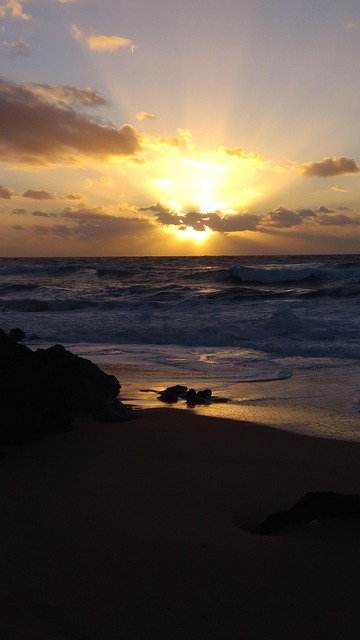 Free Beach Sunset photo and picture