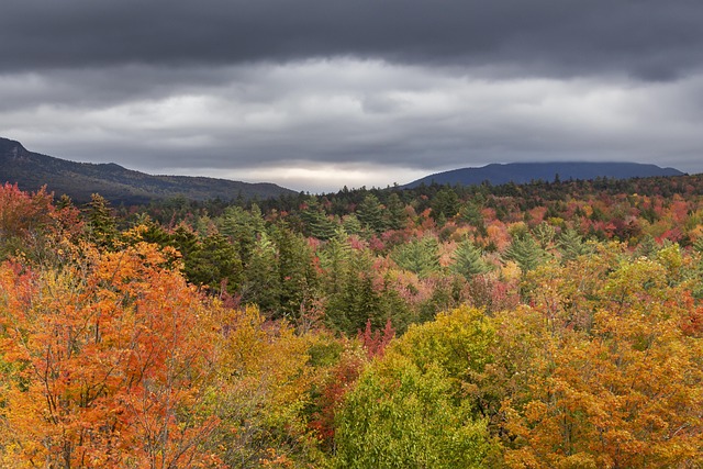 Free Kancamagus Highway New Hampshire photo and picture