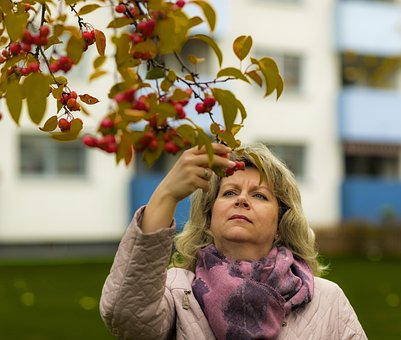 Free Autumn Beautiful Woman photo and picture