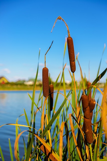 Landskap Natur Innsjø - Gratis foto på Pixabay