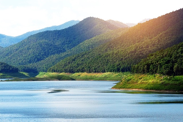 Free Lake Calm photo and picture