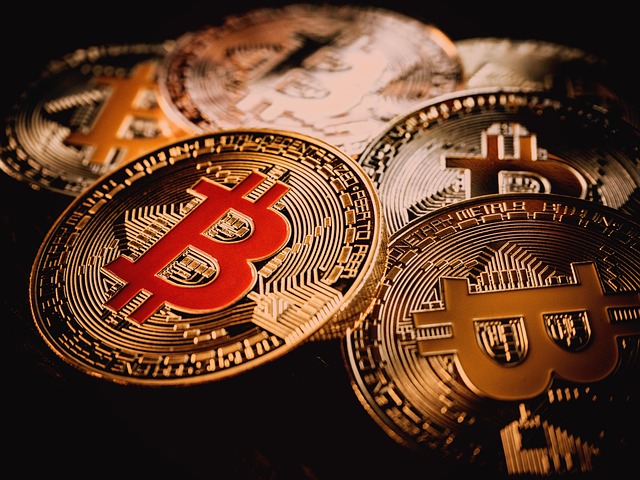 Free Coin Bitcoin photo and picture