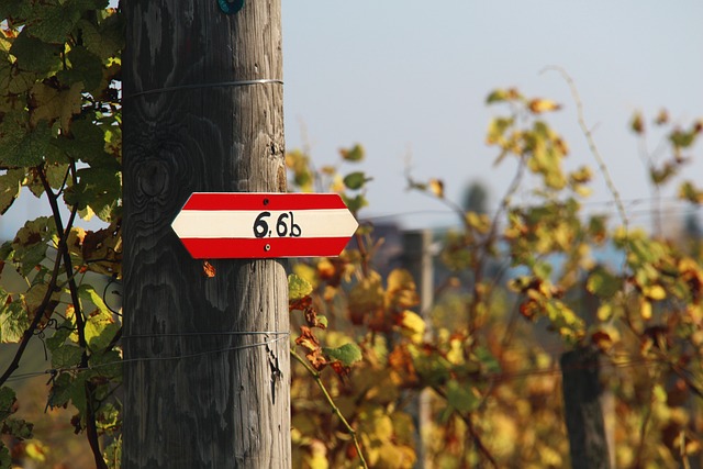 Free Southern Styria Austria photo and picture