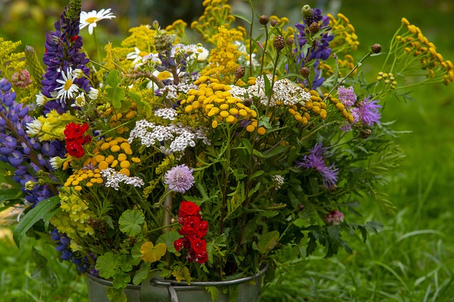 Free Flowers Field photo and picture