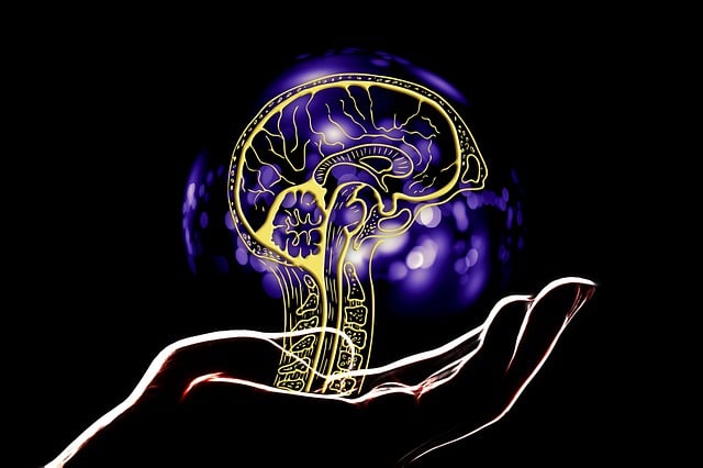 Free artificial intelligence brain hand illustration