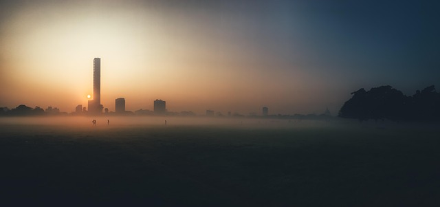 Free Morning Fog photo and picture