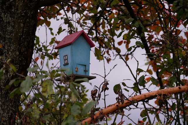 Free Fall Bird House photo and picture
