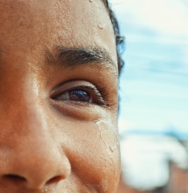 Retrato, Ojos, Atención, Focus