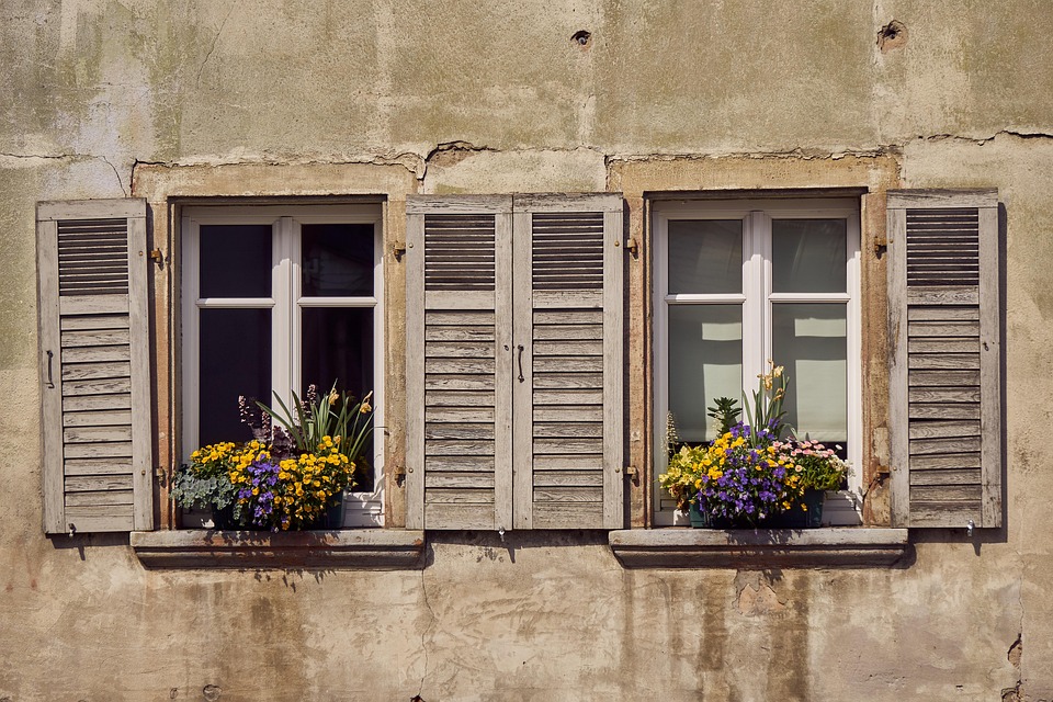 Window Flower Shutter - Free photo on Pixabay - Pixabay