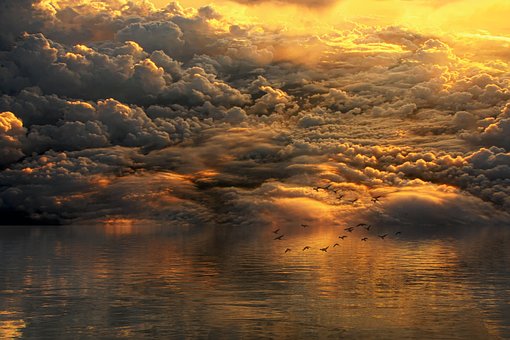 Discover And Download Free Images Pixabay