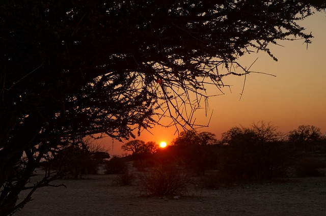 Free Sunset Africa photo and picture