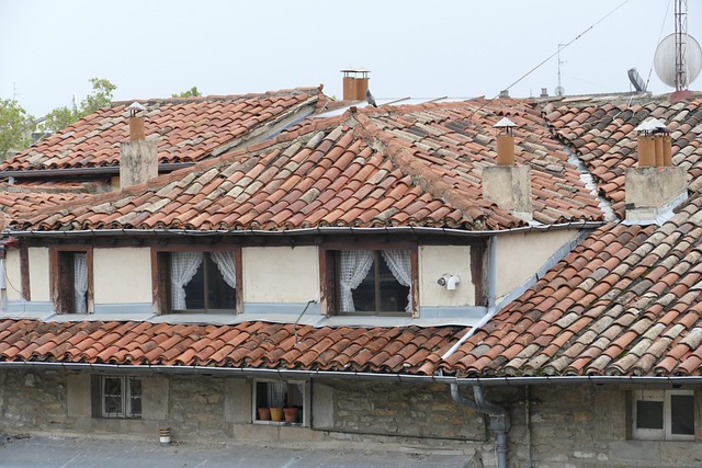 Free Roof Roof Tile photo and picture