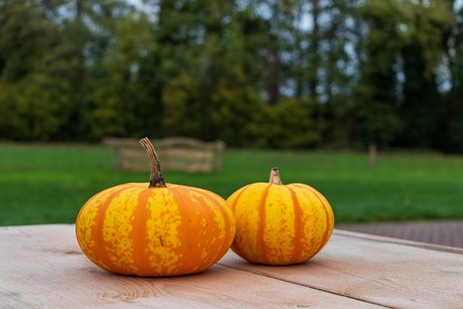 Free Pumpkin Beautiful Wallpaper photo and picture