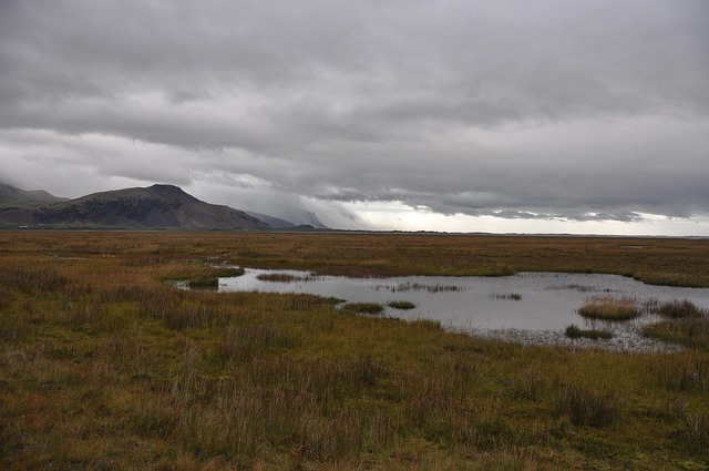 Free Iceland Landscape photo and picture