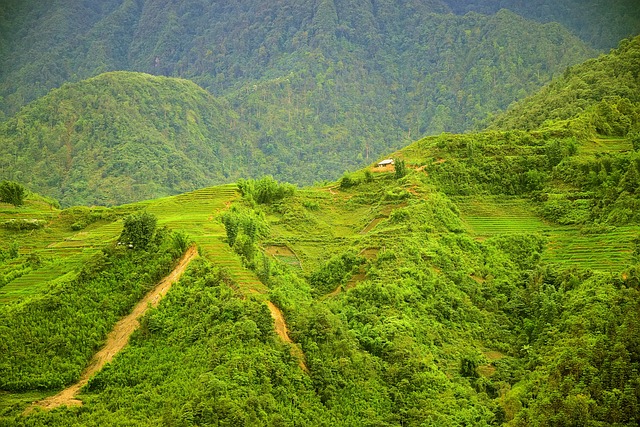 Free Vietnam Asia photo and picture