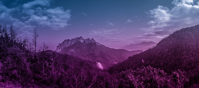 Hora, Vietnam, Krajina, Mrak, Kopec, Les