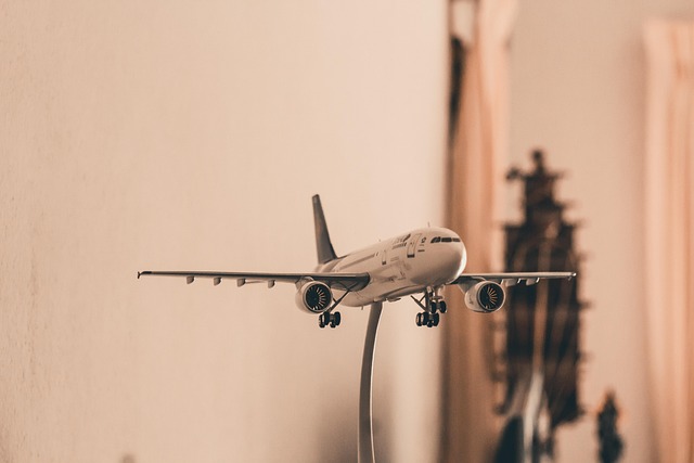 Free Model Airplane photo and picture