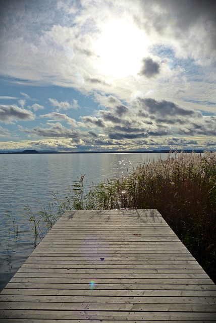 Free Web Bridge photo and picture