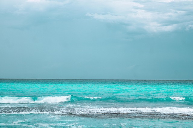 Free Sea Ocean photo and picture