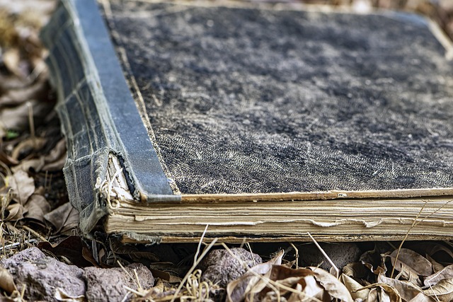 10,000+ Free Ripped Book & Book Images - Pixabay